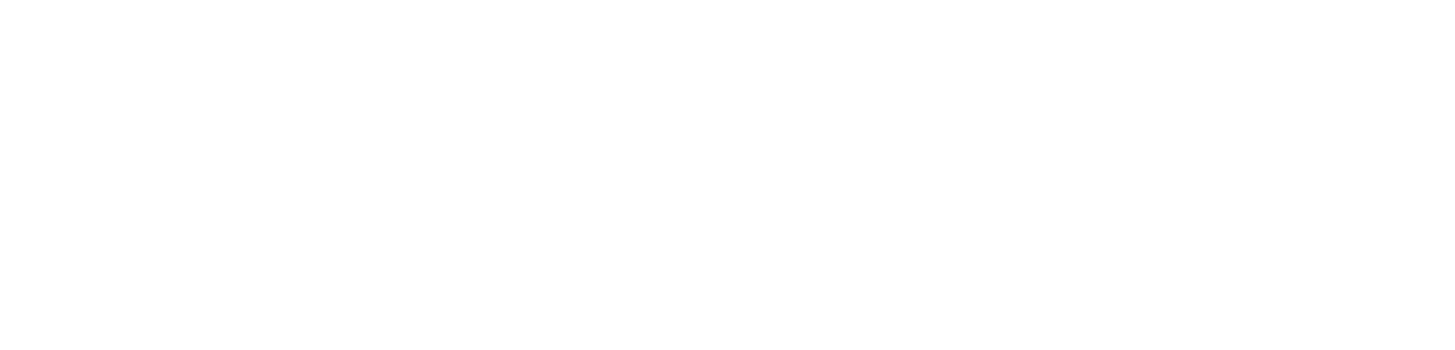 Universidad Blas Pascal